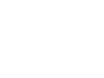 Team Freedom